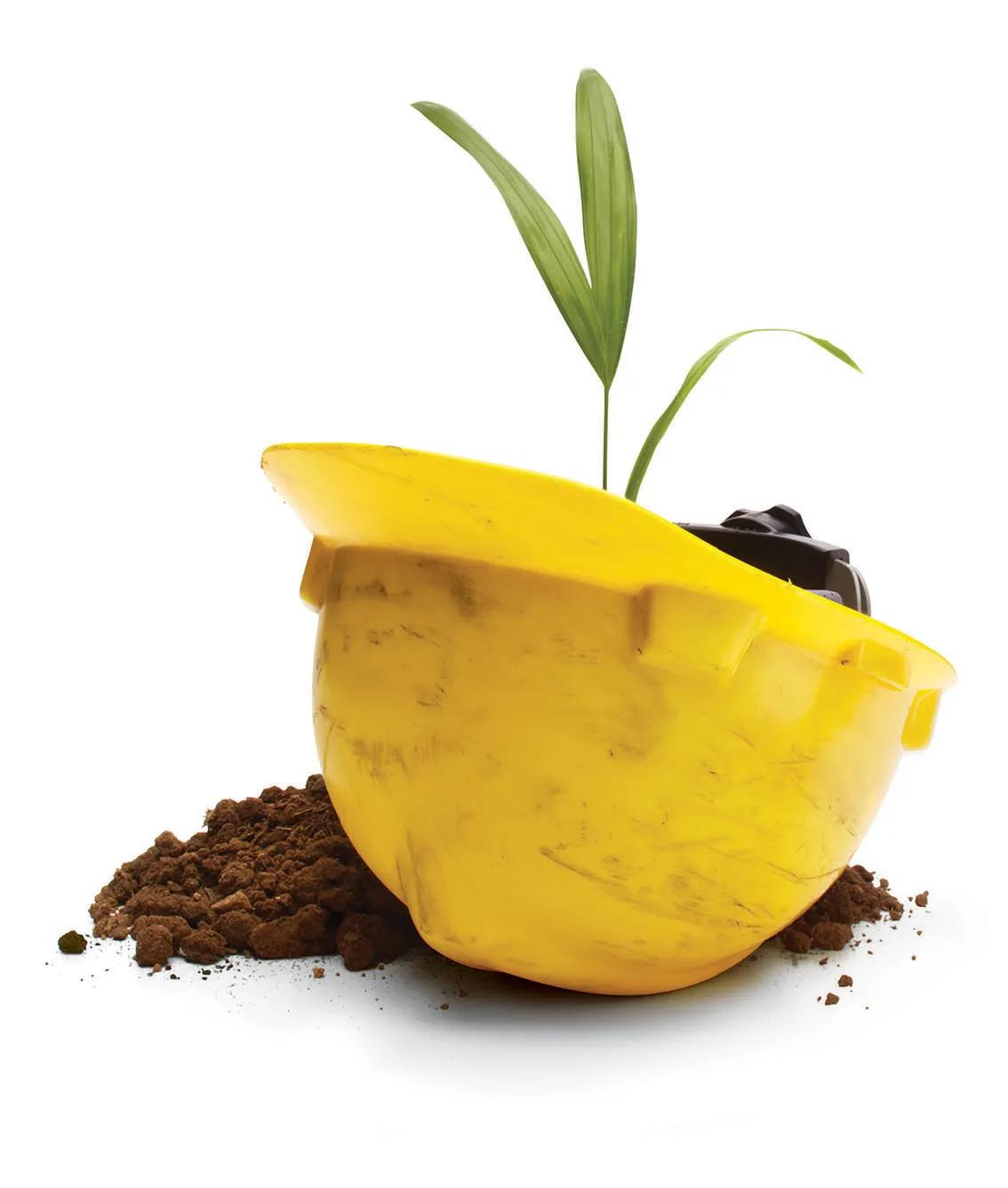 An overturned MSA V-Gard Green helmet with a plant growing out of it