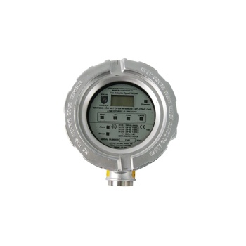 US MGT10 Explosion-Proof Gas Monitor | MSA Safety | United States
